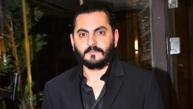 صورة توضيحية - مجموعة عائلة المصري العالمية و مجموعة الفا العالمية سيستثمران مئة مليون دولار في مصر