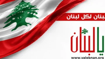 مدفعيّة العدو استهدفت أطراف بلدة مروحين بقذيفة فوسفورية