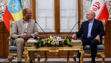 صورة توضيحية - قاليباف يبحث مع نظيره الأثيوبي سبل تعزيز التعاون البرلماني