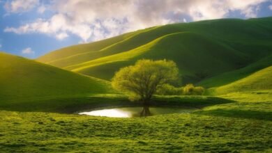 كيف درس فرانكو فونتانا علاقات الألوان قبل انتشار فلاتر الهواتف