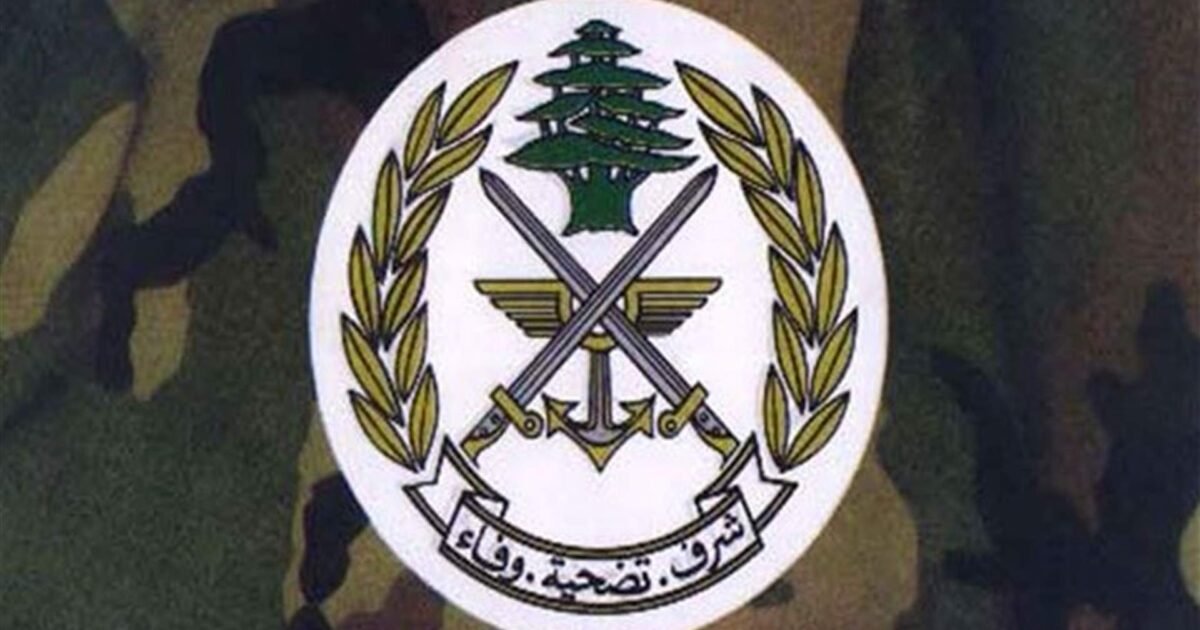 الجيش ينفي انتشاراً مستجداً في النبطية ويُكثّف مهامه