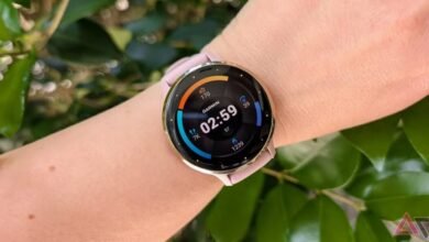 تخطئ Garmin في كل شيء من خلال فرض رسوم على ميزة الاختتام السنوية الجديدة