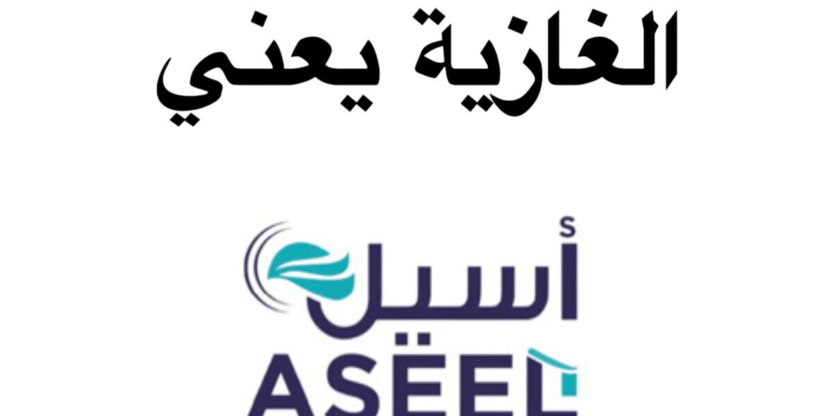 شركة أسيل تكتسح سوق المواد الغذائية في الغازية